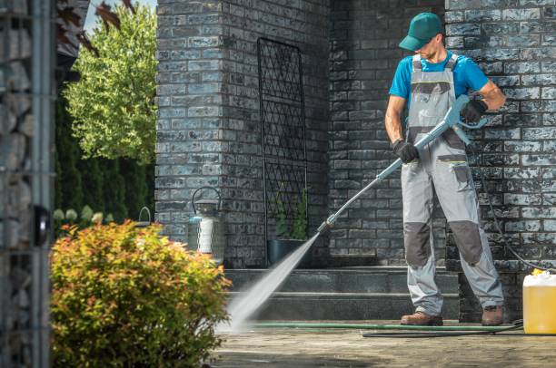 Best Boat and Dock Cleaning  in Nicholls, GA